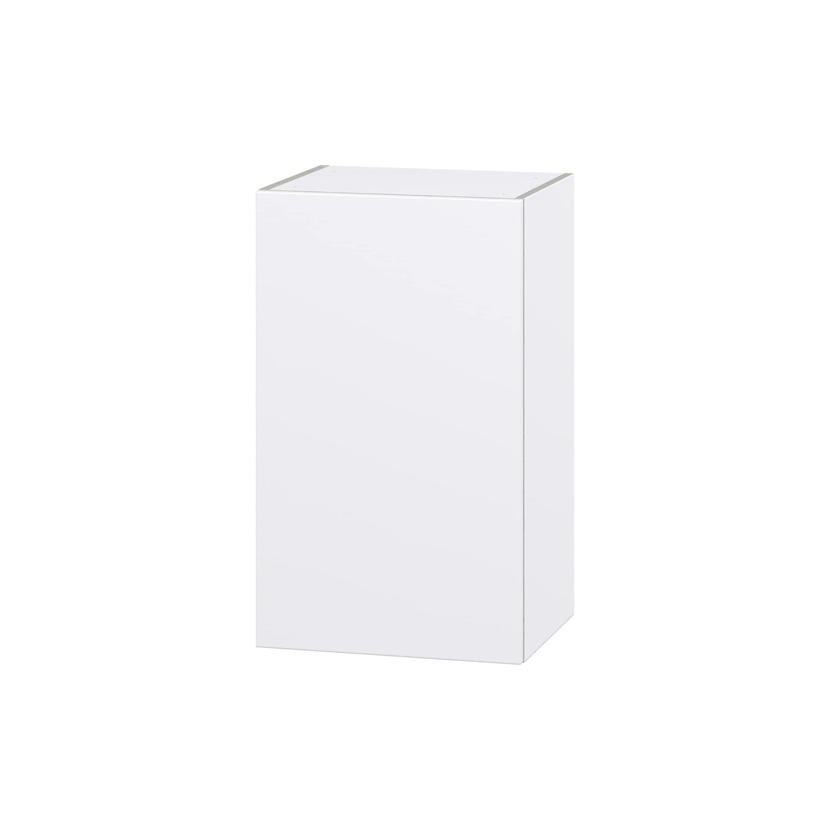 Hugo&Borg Lasalle 18-in W x 30-in H x 14-in D Bright White Slab Wall Fully Assembled Cabinet (Flat Panel Slab Door Style)